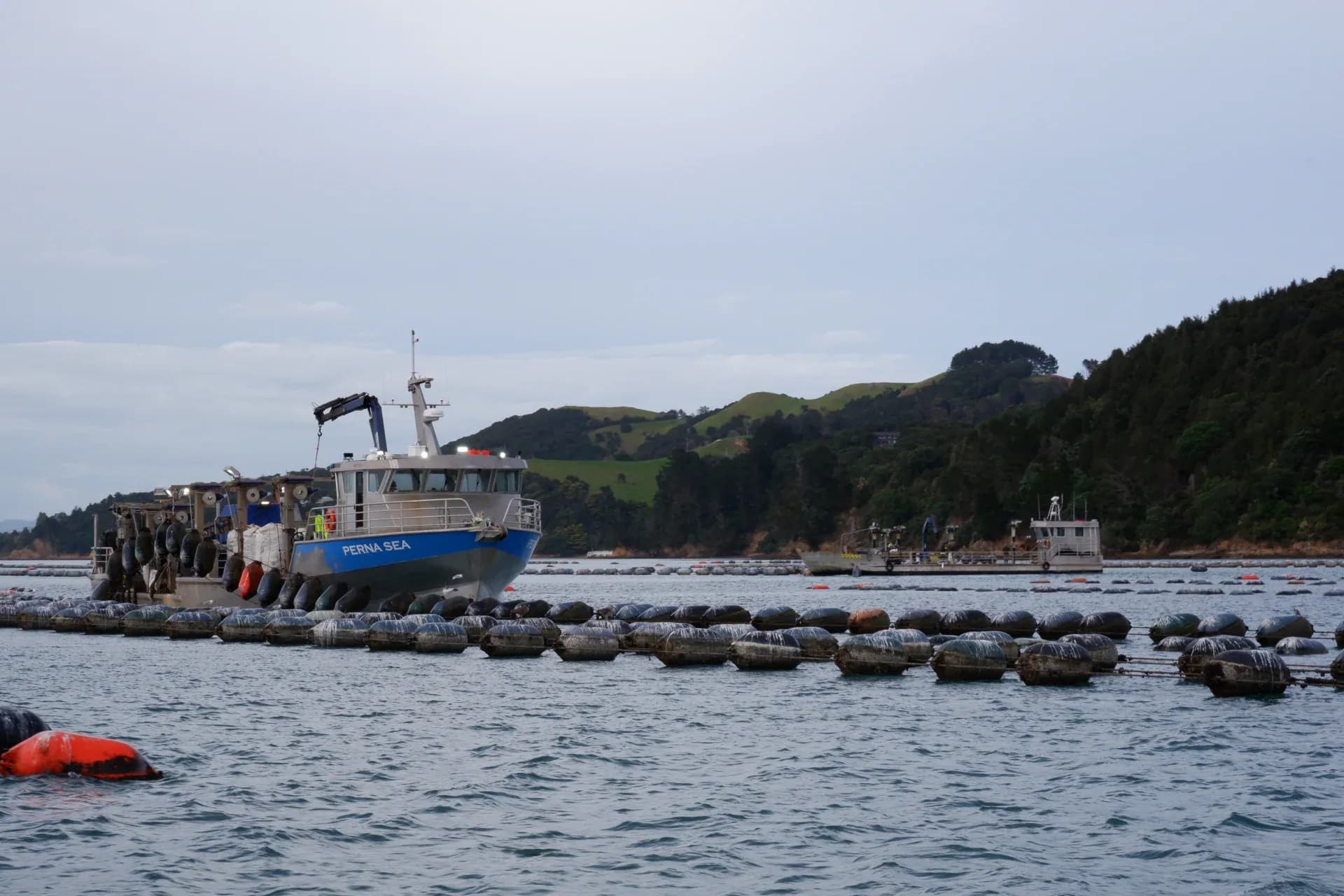 Ngāi Tai Waiora